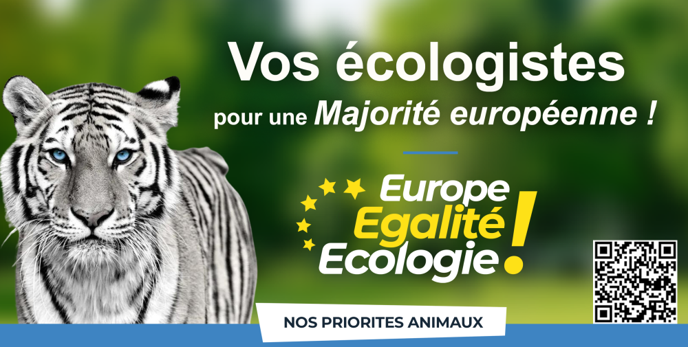Vos écologistes pour une Majorité européenne !